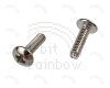 iBook G3 Clamshell Screw, Shield over DC-in Ph 8mm (FireWire)